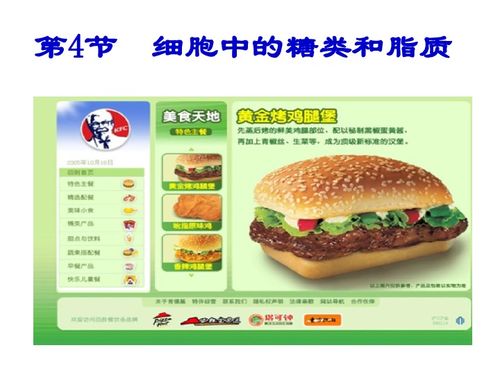 细胞中的糖类和脂质下载 生物