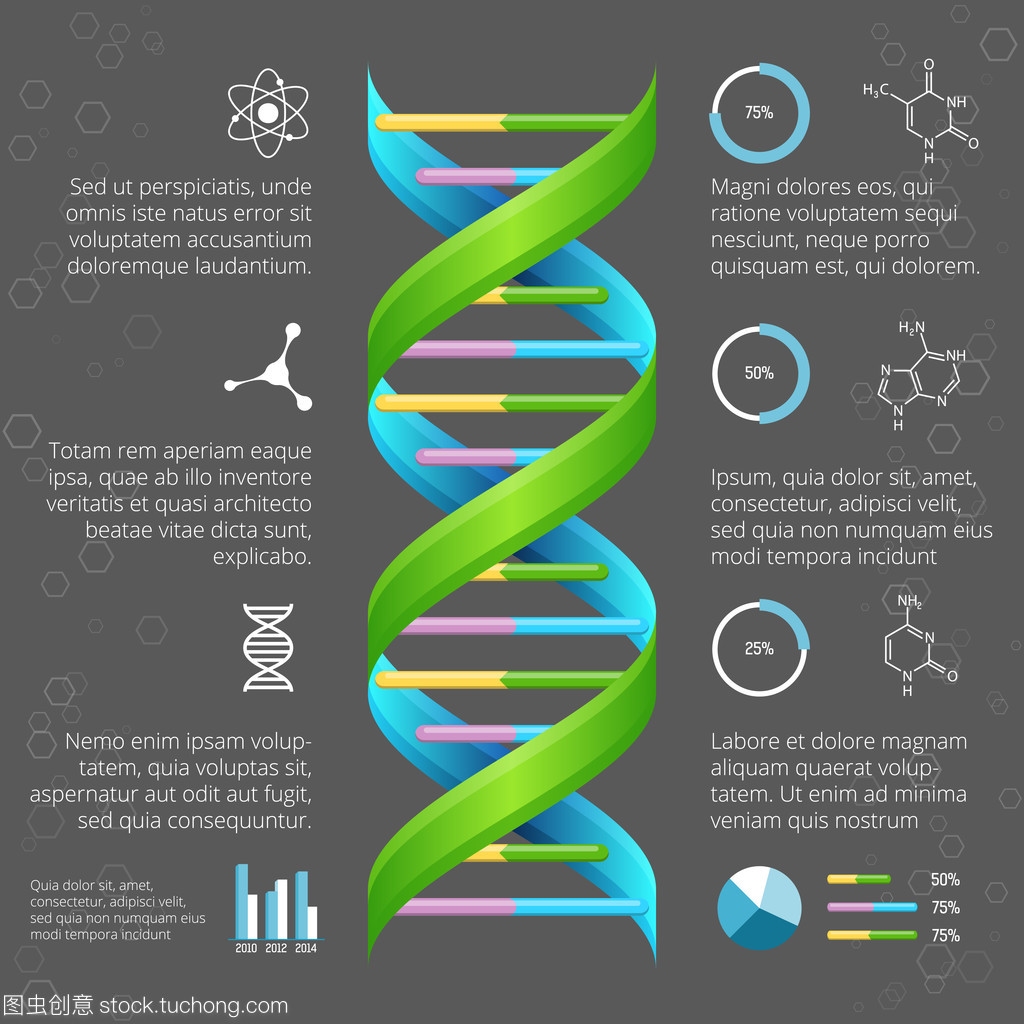 医学和生物学研究 Dna 结构的图表模板