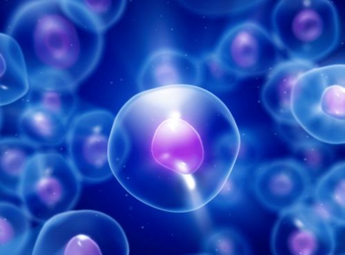 中国空间站航天员首次出舱 2100年海平面或将上升一米丨科技早新闻