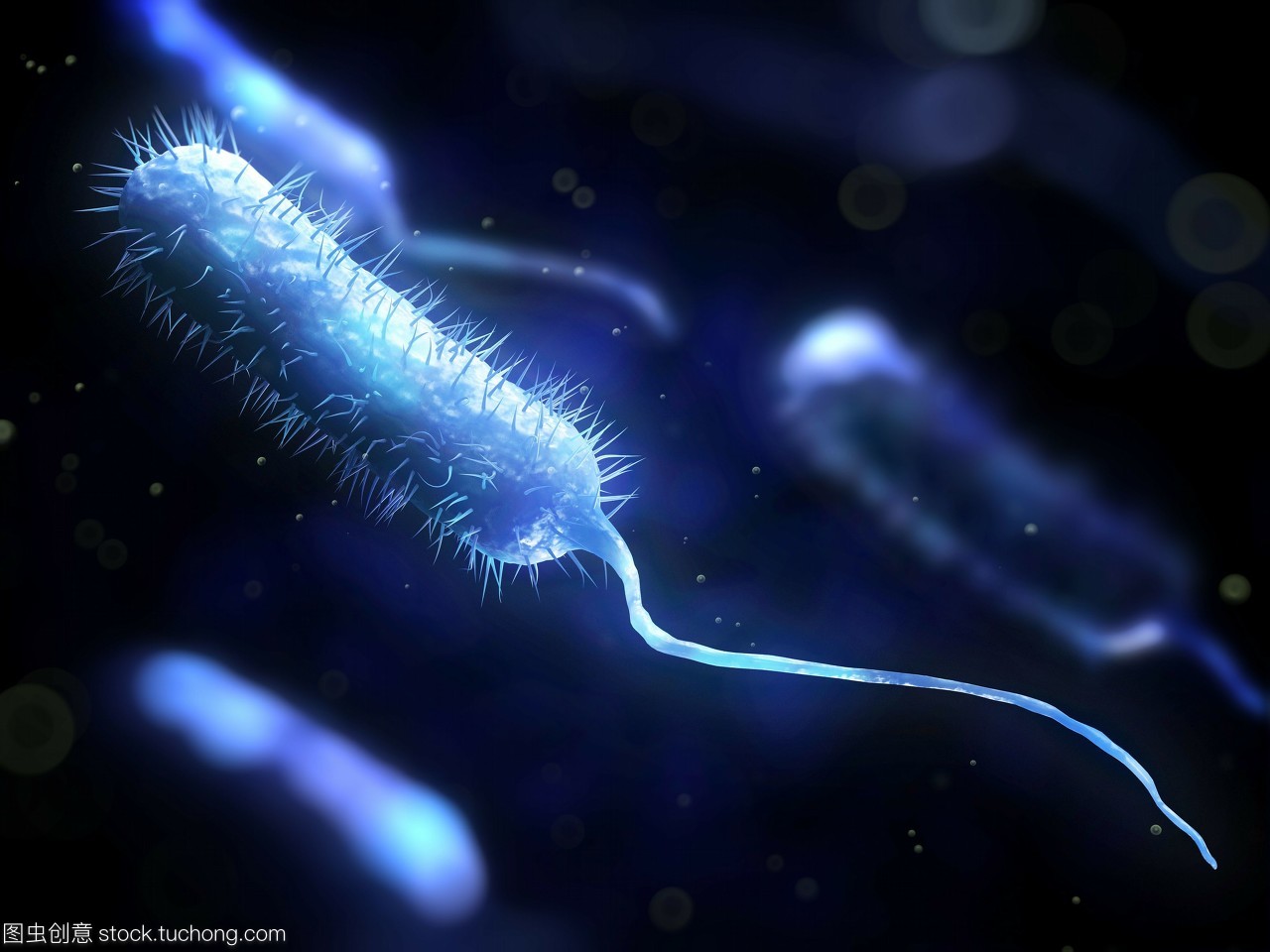 危险,粘贴,微生物,生物学,概念,细菌学,风险,棍,healthcare,artwork,手机,illustration,科技医疗,microbiology,棒,rod shape,infection,杆,细菌性的,植物学,病菌,rod shaped,活力,dangerous,活跃,细菌,mobile,木棒,医疗保健,疾病,rod,生长,conceptual,尾巴,bacilli,pathogen,艺术品,微生物学,bacillus,concept,bacteriology,microbe,active,