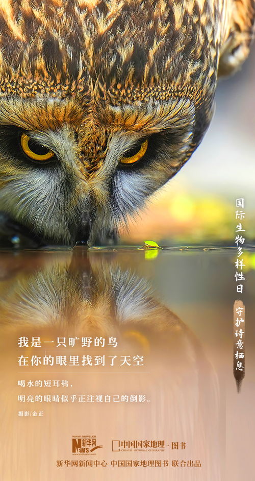 震撼大片来了 定格生物多样性之美