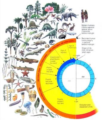 2018年首届南澳论坛专家演讲《生态文明: 人类文明进程的新阶段》