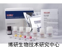 人(17-OHCS)17羟皮质类固醇ELISA试剂盒_供应产品_博研生物技术研究中心