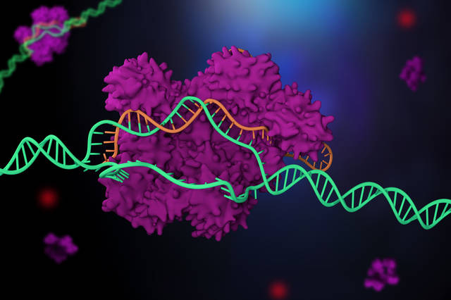 生物技术育种的个人展示页