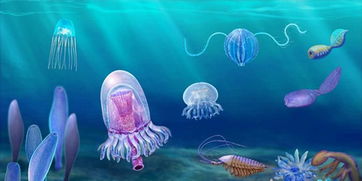 清江生物群打开寒武纪 新宝藏