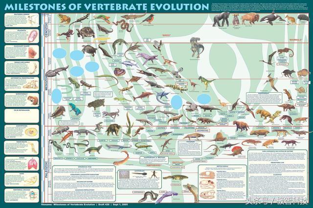 生物进化理论为何可以用在飞行器的优化设计中?读完就懂