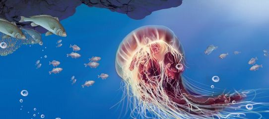 海洋科普 | 哇!它们居然是这种关系