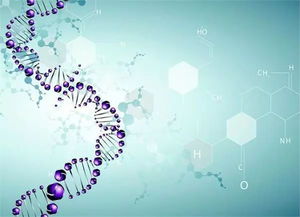 哥大生物硕博学姐全面系统介绍生科,生物技术,生统申请及发展路径