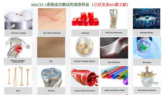 生物软组织多尺度力学特性测试分析系统,组织材料多尺度力学特性测试分析系统