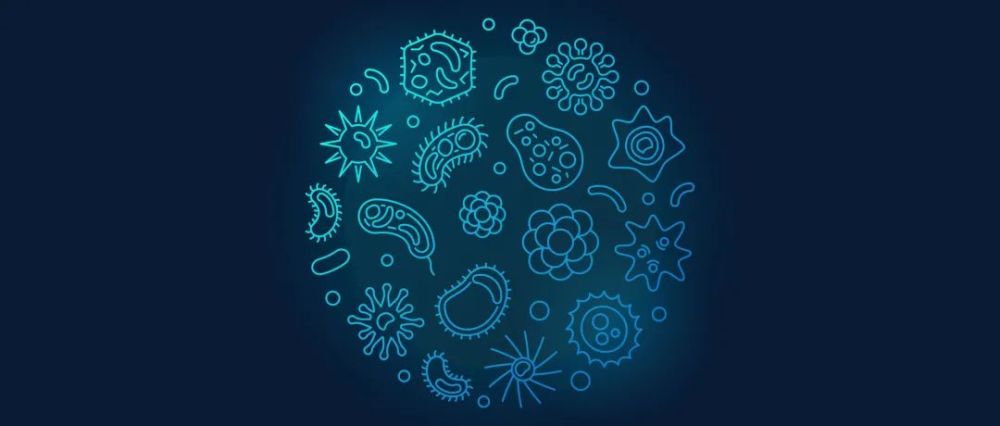 【Nature子刊】通过微生物组组成更准确地识别结直肠癌