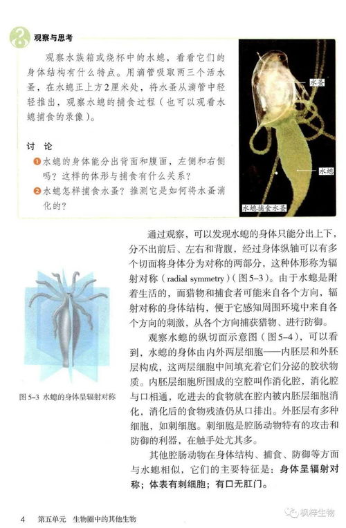 人教版八年级上册生物电子课本教材 高清pdf版