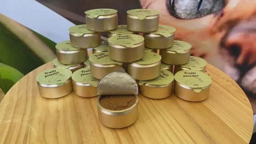 8个创意满满的猫咪用品 猫研所带你逛亚宠展