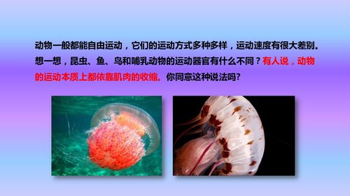 人教八年级上册生物课件第五单元第二章第一节 动物的运动课件 24张ppt