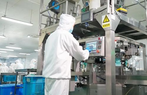 江苏 它经济 崛起,萌宠引领产业新蓝海