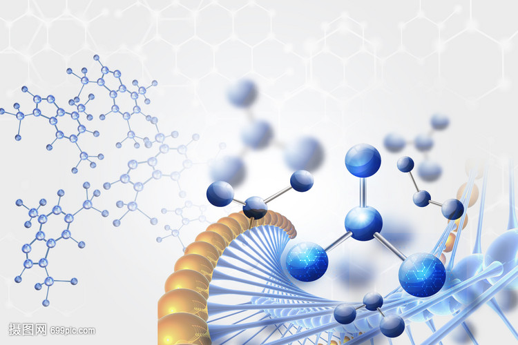 生物分子的结构与功能 生命科学的基石
