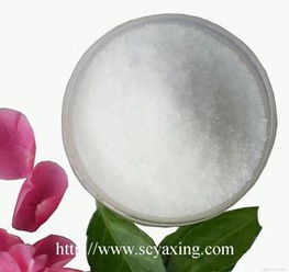 生命的奥秘 探索生物世界的无限可能