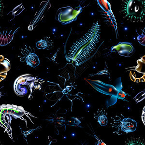 浮游生物的奇妙世界 从浮游植物到浮游动物的卡通矢量插图