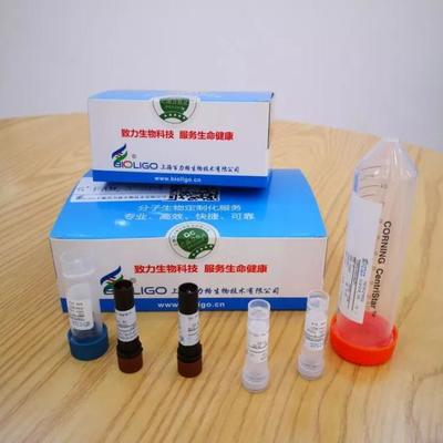 给力!抗击新冠肺炎,长三角G60科创走廊松江企业贡献核心技术产品