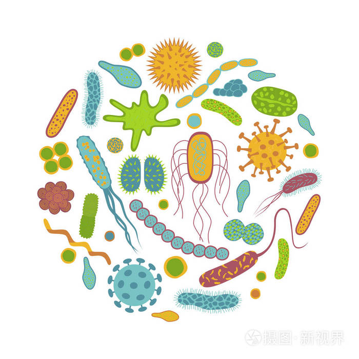 白色背景上的微生物王国 细菌与微生物图标的视觉分离与科学启示