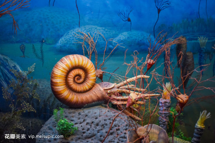 博物馆里的史前巨兽 探秘第四纪生物模型