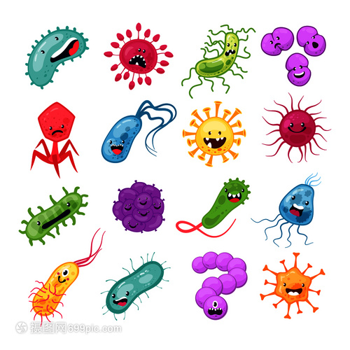微生物 无形世界中的生命奇迹