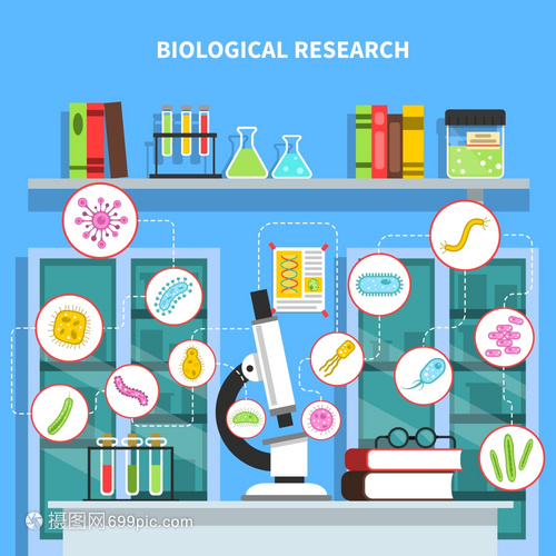 微生物学插图 探秘微生物实验室与细菌研究设备的矢量世界