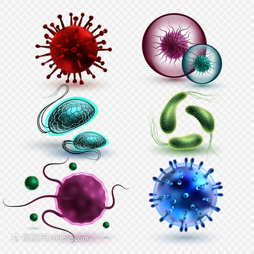 3D现实中的微生物与细菌 隔离、媒集与微观世界的探索