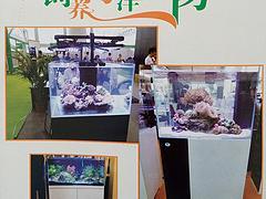 专业海洋生物鱼缸选购指南 水蓝玻璃制品公司如何为您打造理想水族世界